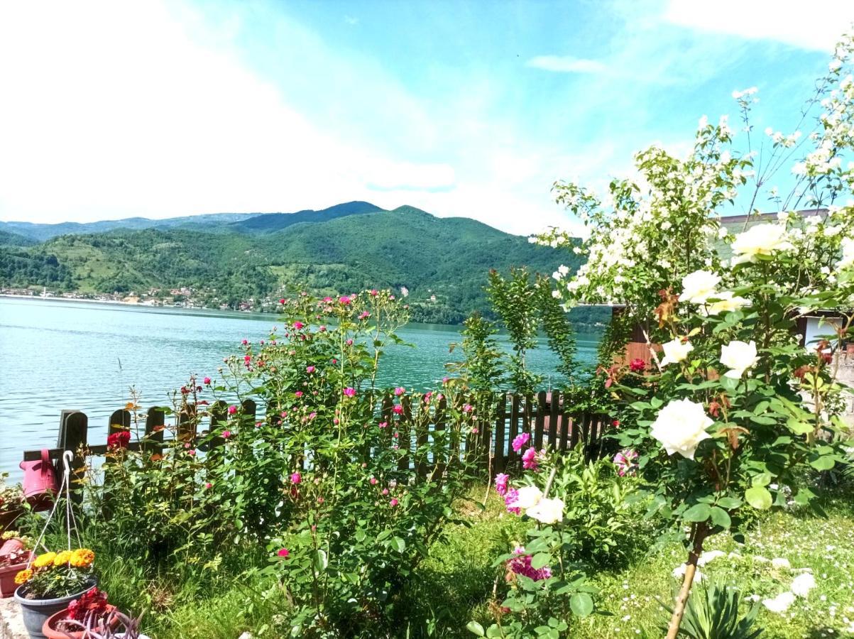 Dina Apartman Jablanicko Jezero Konjic Dış mekan fotoğraf