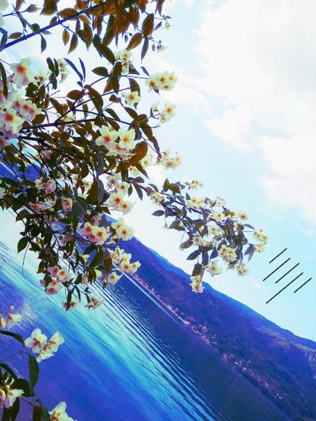 Dina Apartman Jablanicko Jezero Konjic Dış mekan fotoğraf